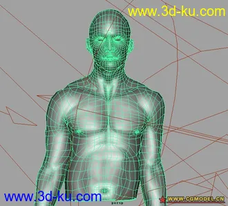 3D打印模型精细的人体（产品级别）的图片