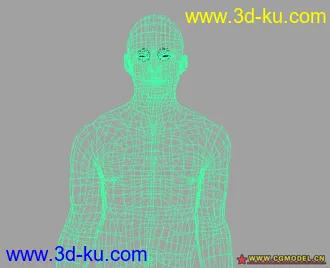 3D打印模型精细的人体（产品级别）的图片