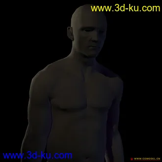 3D打印模型精细的人体（产品级别）的图片