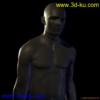 3D打印模型精细的人体（产品级别）的图片