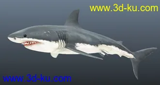 3D打印模型凶猛鲨鱼一条的图片