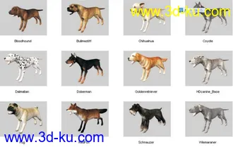 3D打印模型动物全集的图片