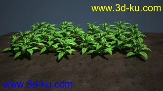 旱烟模型的图片