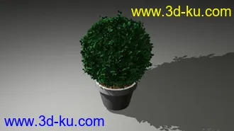 3D打印模型好像看到论坛没这种植物，上传一个~的图片