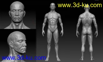 zb角色模型的图片