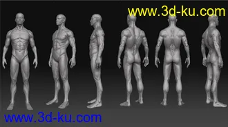 zb角色模型的图片