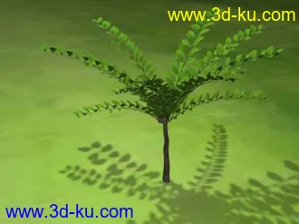 小树模型的图片