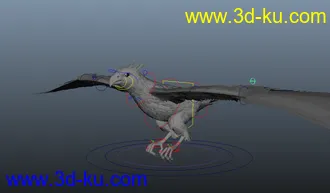 3D打印模型一个很不错的黑鹰的图片