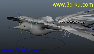 3D打印模型彩雀的图片