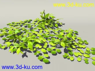 G:3D模型《欧式树木植物3D模型合辑》的图片