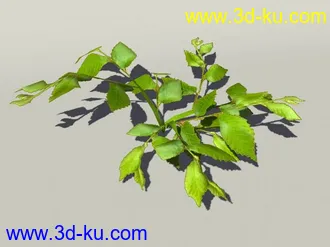 G:3D模型《欧式树木植物3D模型合辑》的图片