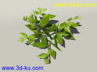 G:3D模型《欧式树木植物3D模型合辑》的图片