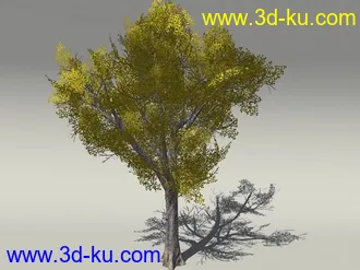 G:3D模型《欧式树木植物3D模型合辑》的图片