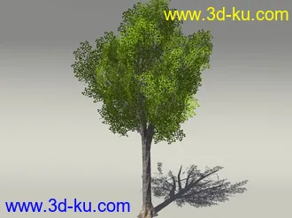 G:3D模型《欧式树木植物3D模型合辑》的图片