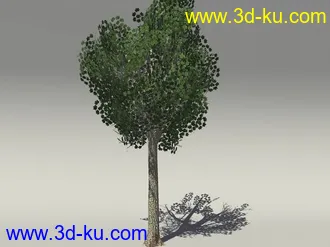 G:3D模型《欧式树木植物3D模型合辑》的图片