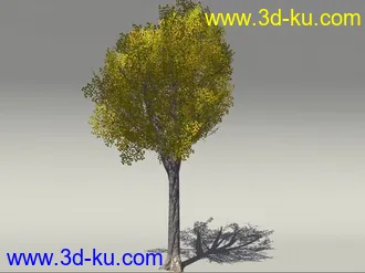 G:3D模型《欧式树木植物3D模型合辑》的图片