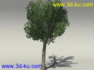 G:3D模型《欧式树木植物3D模型合辑》的图片
