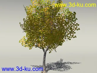 G:3D模型《欧式树木植物3D模型合辑》的图片