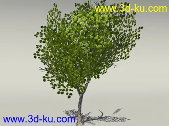 G:3D模型《欧式树木植物3D模型合辑》的图片