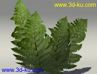 G:3D模型《欧式树木植物3D模型合辑》的图片