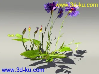 G:3D模型《欧式树木植物3D模型合辑》的图片