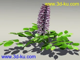 G:3D模型《欧式树木植物3D模型合辑》的图片