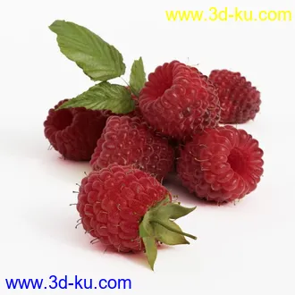 3D打印模型水果蔬菜的图片