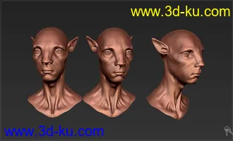 3D打印模型阿凡达-头像的图片