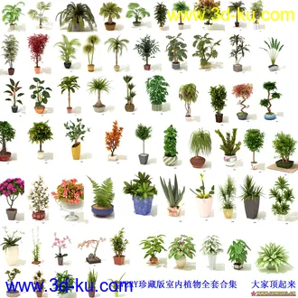 3D打印模型珍藏版室内植物全集。大家看图片，都带材质的的图片