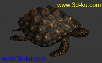 3D打印模型一个不错的海龟的图片