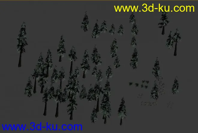 一组龙腾世纪植物 松树模型的图片2