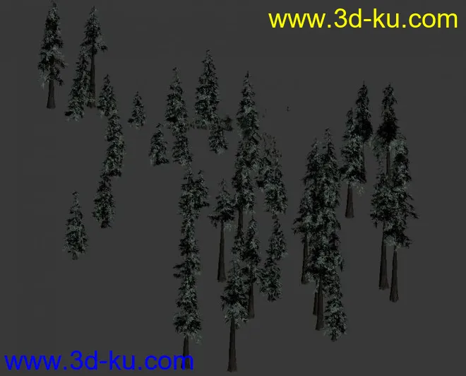 一组龙腾世纪植物 松树模型的图片5