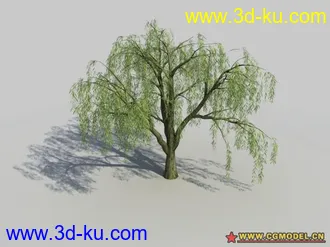 3D打印模型杨柳的图片