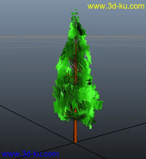 松樹基礎模型的图片1