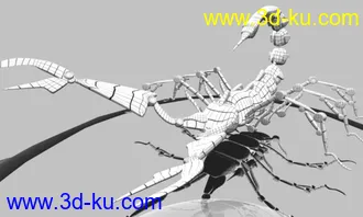 蝎子模型的图片