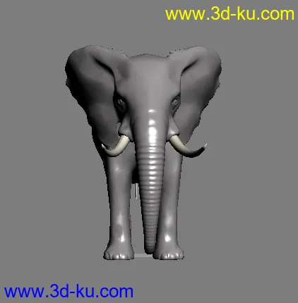 大象3D模型的图片2