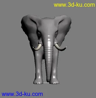大象3D模型的图片