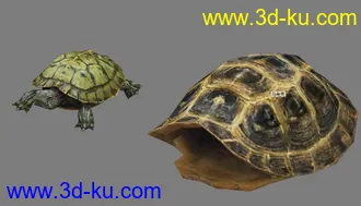 3D打印模型神雕小怪的图片