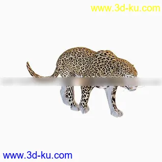 3D打印模型豹子的图片
