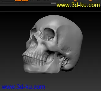 3D打印模型第一次用ZB，雕的头骨~的图片