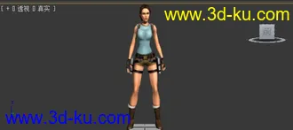 古墓丽影  劳拉模型的图片