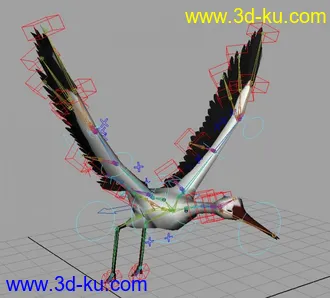3D打印模型鸟的飞行和绑定的图片