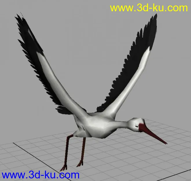 鸟的飞行和绑定模型的图片2