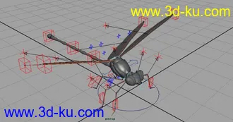 3D打印模型蜻蜓绑定的图片