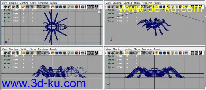 蜘蛛maya模型的图片1