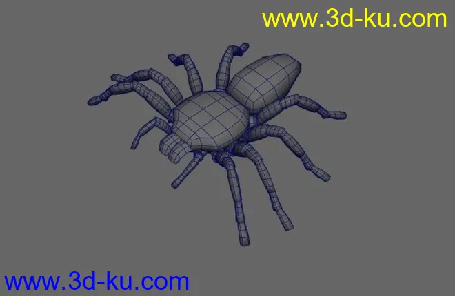 蜘蛛maya模型的图片2