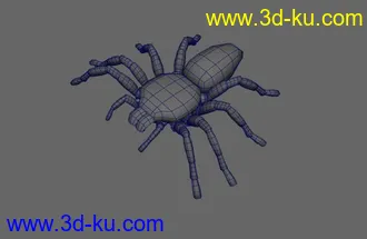 蜘蛛maya模型的图片
