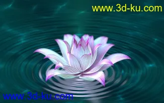 3D打印模型荷花.....的图片
