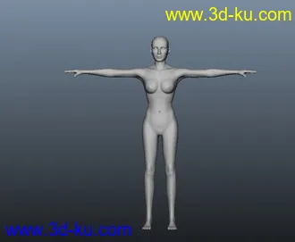 3D打印模型女人的图片