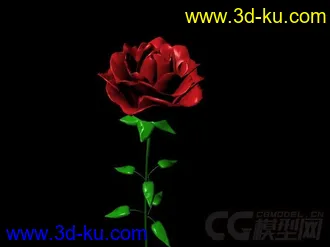 3D打印模型花花花的图片